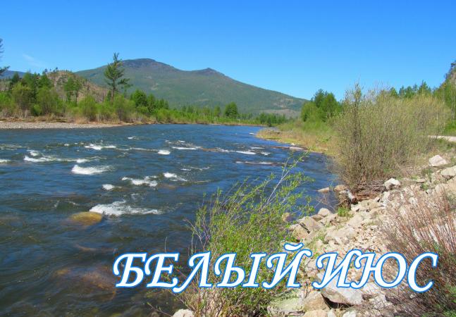 014 Белый Июс-1